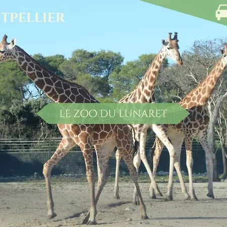 067 -le I, 4 Pers, Clim, Piscine, Parking Appartamento Juvignac